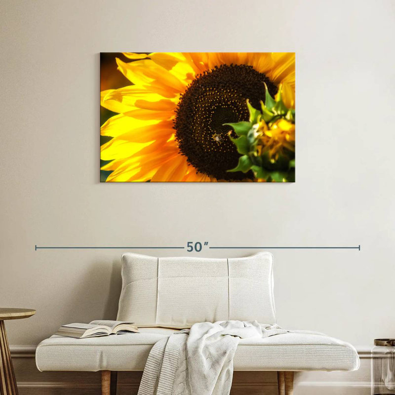Harnek magnifique tournesol, H 24 po x l 36 po