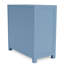 Lana Solid + Manufactured Wood 2-Door Accent Cabinet with Adjustable Shelves