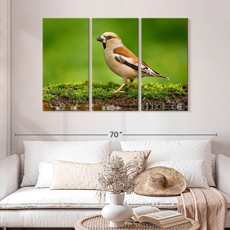 Finch, 32" H x 50" W