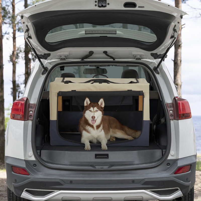 Caisse souple pour animal de compagnie - pliable, avec pochette pour le rangement, tissu pour zone d'activité portable, Engager les animaux de compagnie