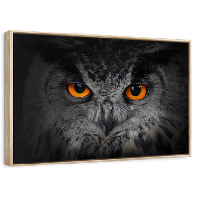 Hibou gris envoûtant