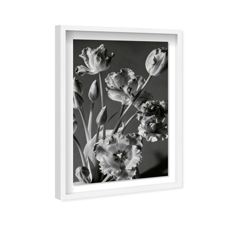 Botanique Noir II Print by Oliver Gal, 37.5" H x 25.5" W, White Shadowbox