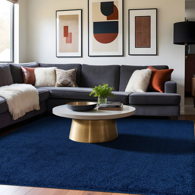 Washable Indoor Area Rug