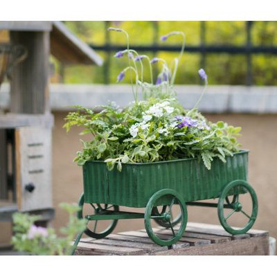 Pot de fleurs brouette en métal Penman