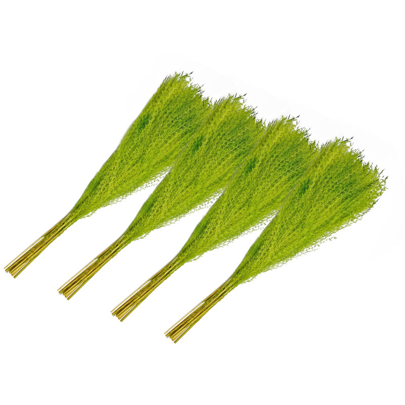 Ensemble de 4 bouquets de poussière de Bouddha séché préservé 21 po, Vert vif