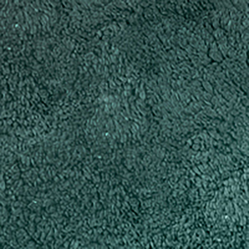 Antigona Soft Bath Rug, 17" W x 24" L, Bottle Green