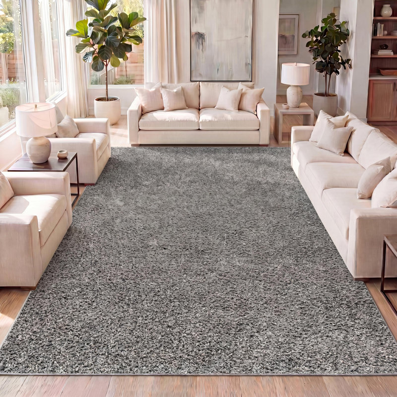 Tapis gris anthracite Felicdad, Rectangle 5 pi 3 po x 7 pi 6 po