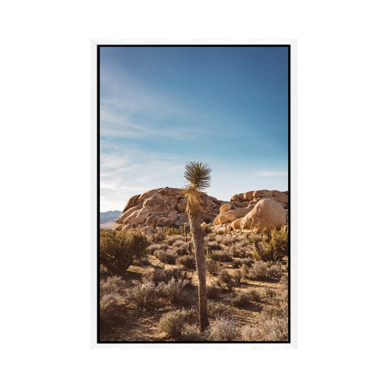 Joshua Tree National Park XVII by Bethany Young - Print on Canvas, 152.4cm H x 101.6cm W x 3.81cm D, White Framed