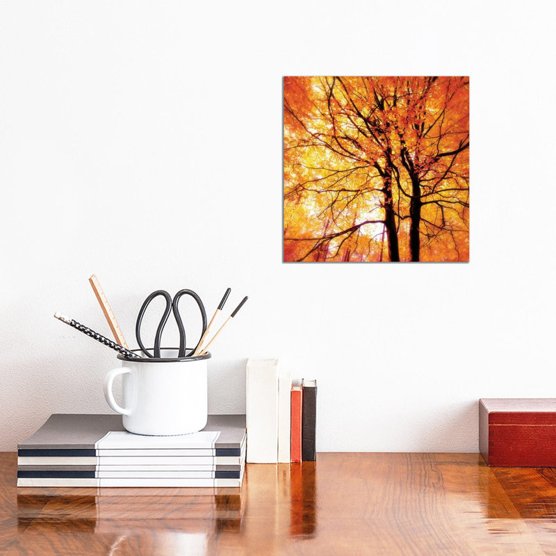 Autumn Glory - Wrapped Canvas Print, 30.48 cm H x 30.48 cm W