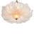 Cabrillo 7 - Light Novelty Chandelier