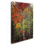 «Color Touch» par Philippe Sainte-Laudy - reproduction de photo sur toile-1763786094
