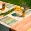 Ensemble de 4 napperons Sping