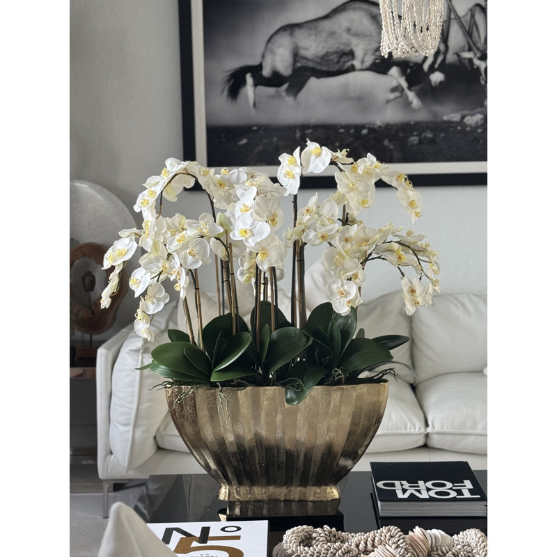 Vivien Gold Vase With Phaleanopsis Orchids, White