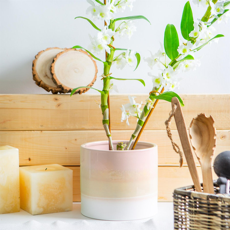 Nicola Spring - Reactive Glaze Plant Pots, 15.5cm H x 18cm W x 18cm D, Natural