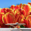 Murale florale-93996979
