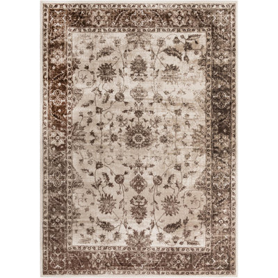 Emigdio Oriental Indoor Rug