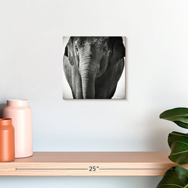 Brampt Elephant BW III, 10" H x 10" W