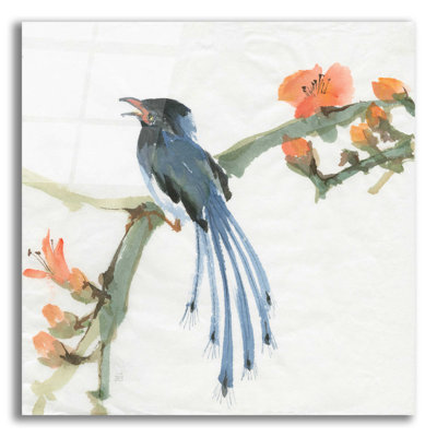 «Formose Blue Magpie» par Chris Paschke - reproduction non encadrée
