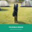 Folding Camping Chair-126691388-126691389
