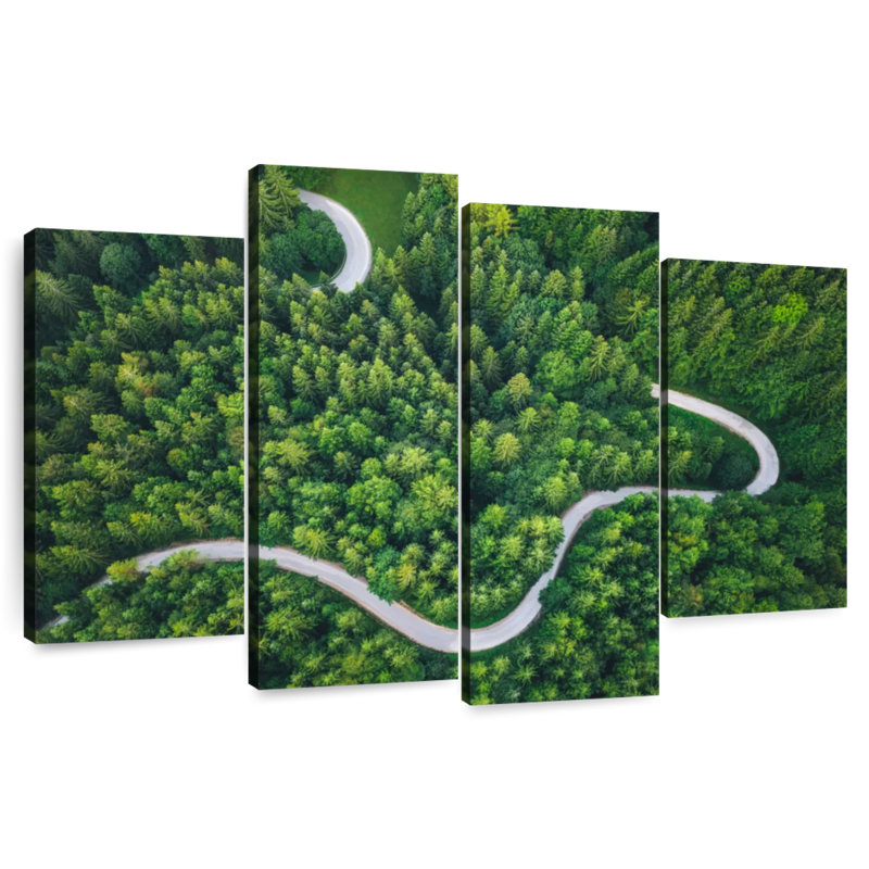 Alvord Winding Pine Forest Road