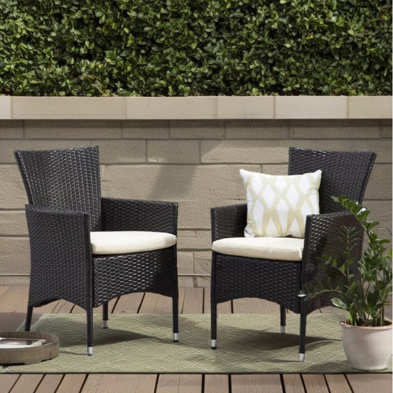 Ensemble de 2 chaises d'extérieur cloutées en osier Clementine