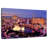 Sireci Las Vegas Night Glow-106308451