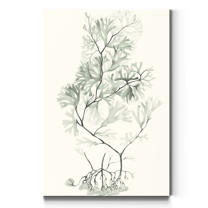 « Sauge Green algue VI », reproduction d’art sur toile tendue, H 27 po x l 18 po x P 1 po