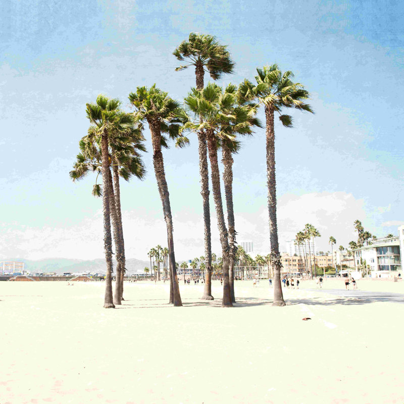 " Santa Monica Palms " by Bree Madden, 12" H x 12" W, No, Wrapped Canvas