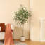 Anasta faux ficus avec pot de fleurs ovale blanc-632575342