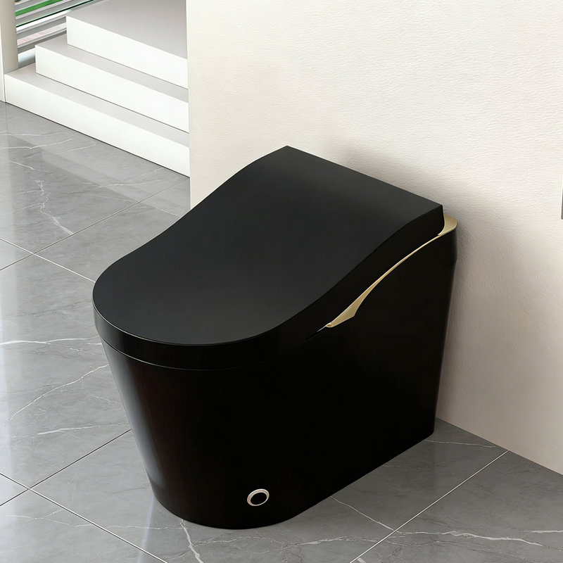 17.5" Comfort Height Smart Bidet Toilet Combo 3 Color Options One-Piece Intelligent Toilet with Foam Shield Auto Open Close Lid, Heated Seat Warm Air Dryer 12" Rough-in Modern Bathroom Smart Toilet with Bidet