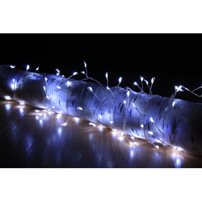 Horatio 4cm LED 200 - Bulb Wide Angle LED String Light