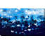 Romans 1: 11-12 Be A Ray of Light (Horizontal) par Mark Lawrence - impression-1340087134-1340087135