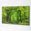 Spring Forest - Wrapped Canvas Print