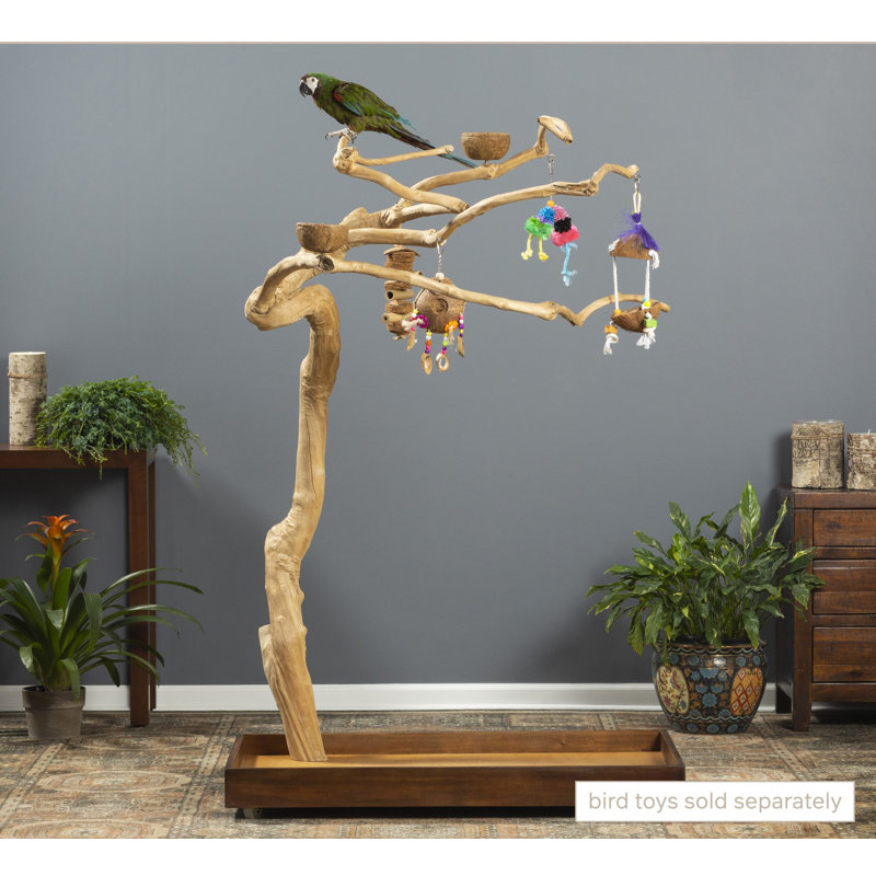 Freeland One-of-a-Kind 63'' Wood Bird Play Stand for Floor, Medium (63" H x 22.875" W x 39.75"D)