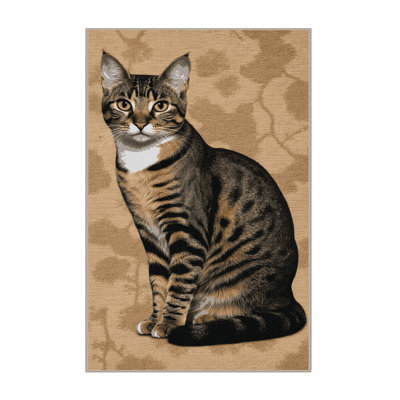 Washable Brazilian Shorthair Cats Area Rug