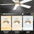 52" Alceu 5 - Blade Flush Mount Smart Ceiling Fan with Light-1414320974