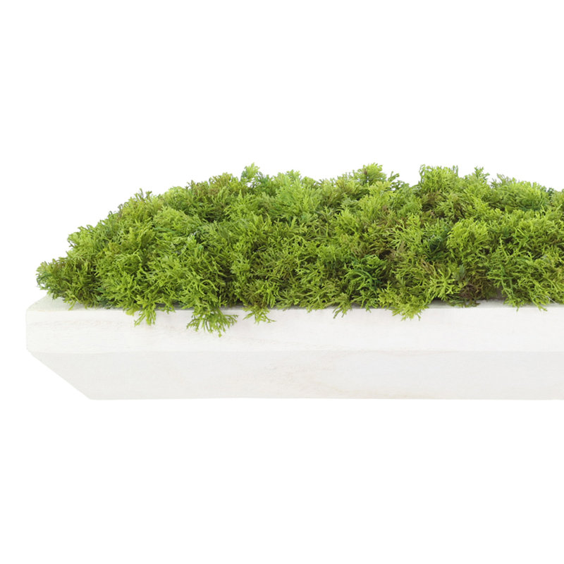 Moss Arrangement In Wood Dough Bowl