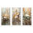Minimalism Shark Painting In Golden Beige - Shark Wall Art Prints Set Of 3-84514992-84514995