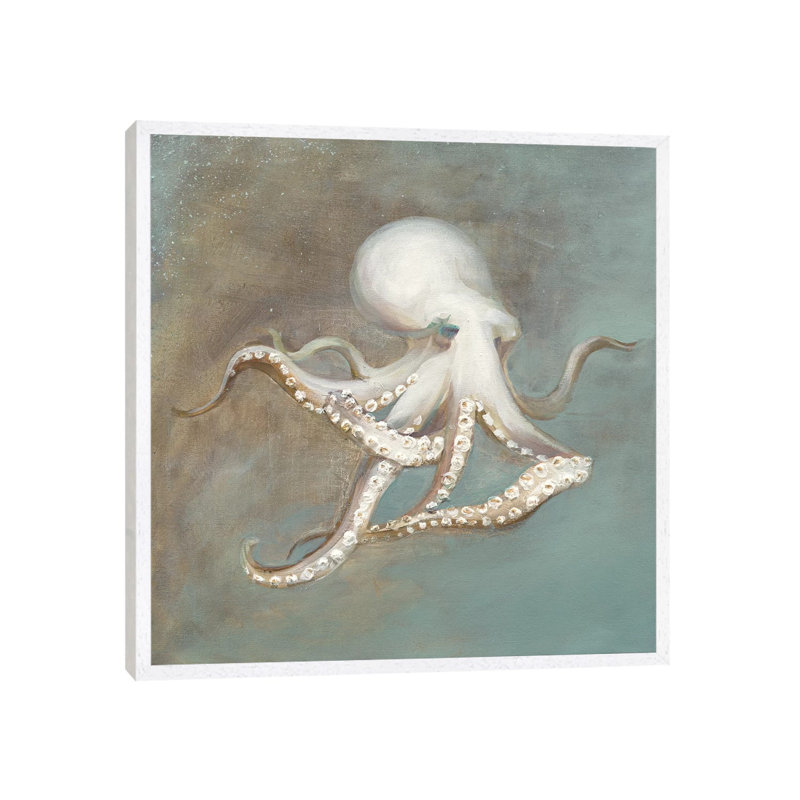 Treasures From The Sea V by Danhui Nai - Print on Canvas, 66.04 cm H x 66.04 cm W, White Framed