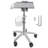 26.77'' H x 17'' W Lab Cart with Wheels