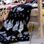  Couverture Black Bear-30563685