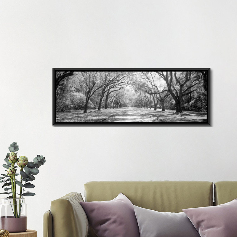 «Live Oaks And French Moss Wormsloe State Historic Site Savannah» par Panoramic Images - Impression sur toile tendue sur châssis
