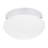 Webster One Light Ceiling Flush Mount from Generation Lighting -57818398-22960286