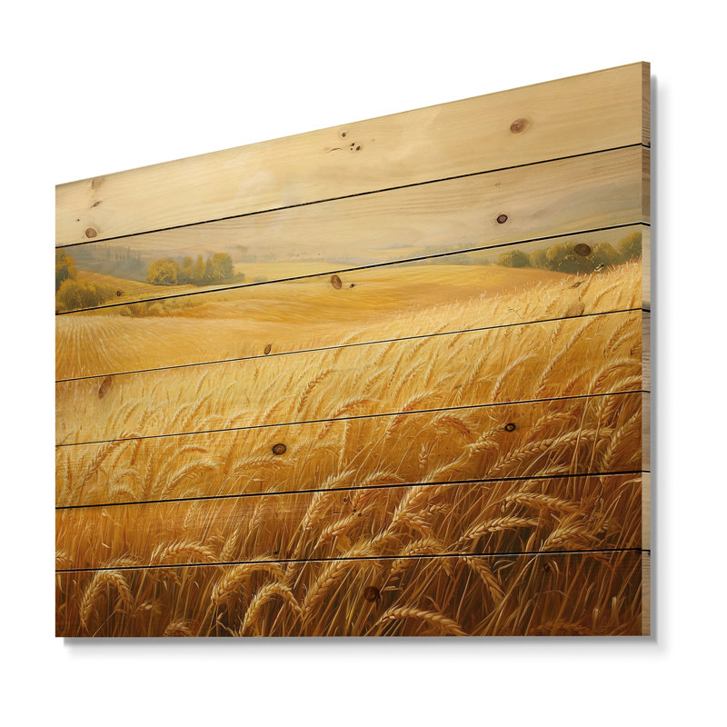 Countryside Golden Fields In Summer Light II - Countryside Wood Wall Art - On Natural Pine Wood, 34" H x 44" W x 0.78" D