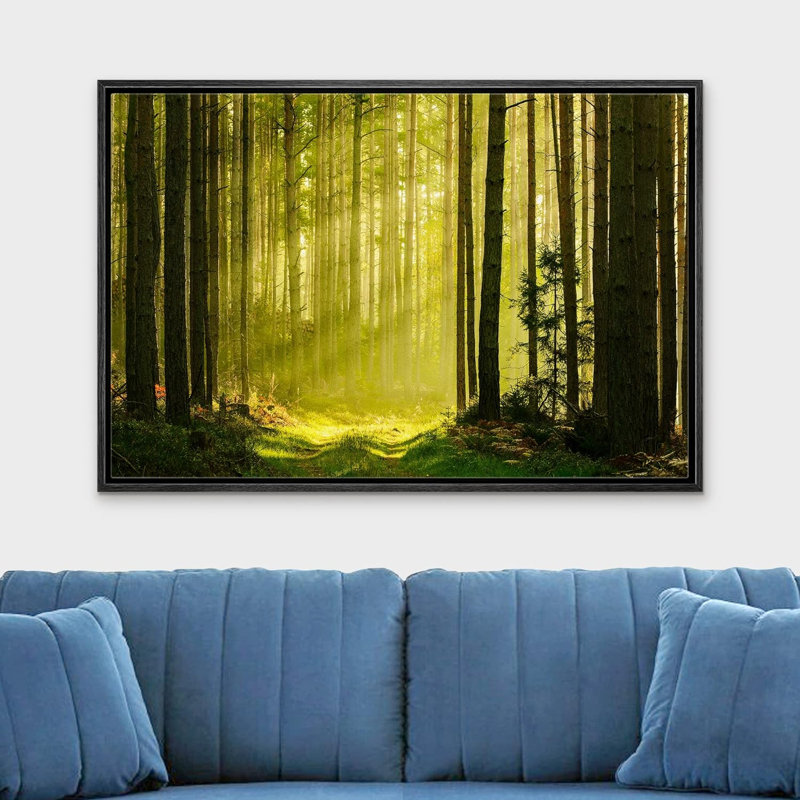 Nature, paysage, printemps, été, soleil, forêt verte, photographie sur toile, H 16 po x l 24 po x P 1,5 po, Cadre noir
