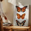 Une collection de trois papillons disposés verticalement sur un fond blanc uni, impression sur toile de qualité supérieure prête à être accrochée-1133348082