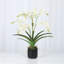 Polysilk Orchid Arrangement In Pot-2030385136-2030385143