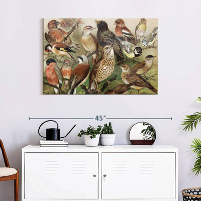 Brampt Botanical Birds Collection I