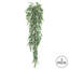 Mini buisson d'eucalyptus vert 32 po