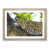 Oak Framed selected